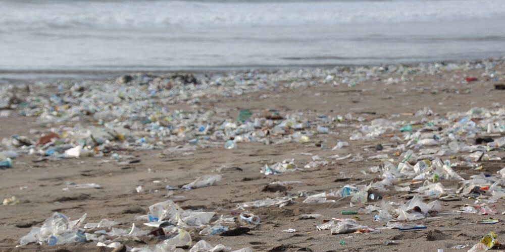 Stop Using Your Plastic Toothbrush