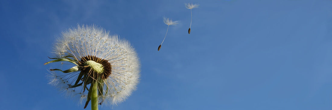 How is wind formed?
