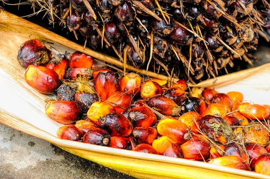 Which Chemical Names To Look For When Trying To Avoid Palm Oil