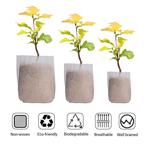 YSBER 300pcs Biodegradable Non-Woven Nursery Bags, Solid Plants Grow Bags Fabric Seedling Pots Plants Pouch Home Garden Supply 16x18cm/6.3”x 7.1”