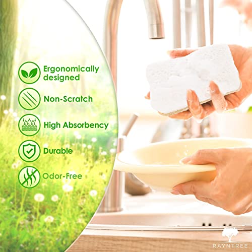 Rayntree Kitchen Sponges and Scrubbers - Natural Sponges for Dishes, Biodegradable Sponges & Cleaning Scrubber, Eco Friendly Kitchen Products, Made of Cellulose & Loofah. Kitchen Sponges Pack of 6