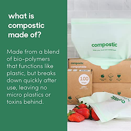 Compostic Home Compostable Resealable Snack Bags - Eco Friendly, Reusable, Zero Waste, Non-toxic, Guilt-Free - Plastic Alternative for Earth Friendly Food Storage - (6"x3.5") 30 Bags (2 Pack)
