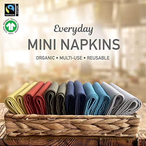 Indi by Kishu Baby - GOTS Certified 100% Organic Cotton Washable Small Cloth Napkins - Set of 12 Fairtrade Soft Muslin Napkins for Every Day Use (Rust)