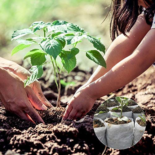 YSBER 300pcs Biodegradable Non-Woven Nursery Bags, Solid Plants Grow Bags Fabric Seedling Pots Plants Pouch Home Garden Supply 16x18cm/6.3”x 7.1”