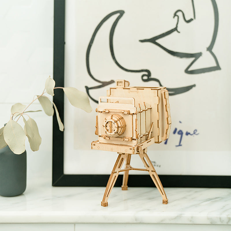 3D Wooden Puzzles | 9 Varieties