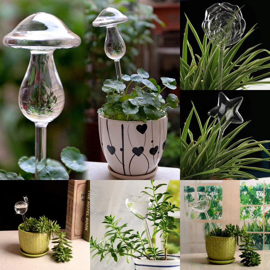6 Types Borosilicate Glass Automatic Self Watering Devices