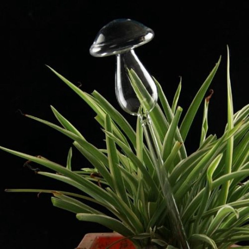 6 Types Borosilicate Glass Automatic Self Watering Devices