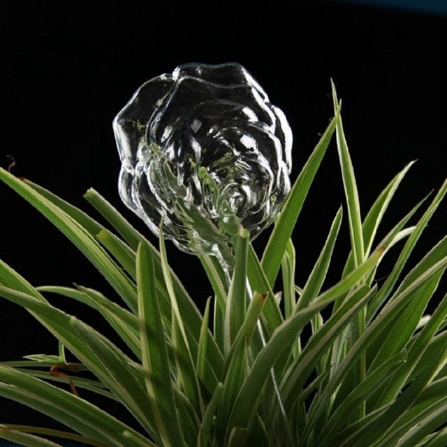 6 Types Borosilicate Glass Automatic Self Watering Devices