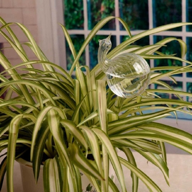 6 Types Borosilicate Glass Automatic Self Watering Devices