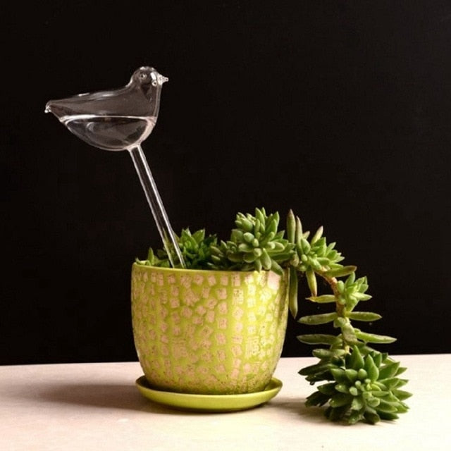 6 Types Borosilicate Glass Automatic Self Watering Devices