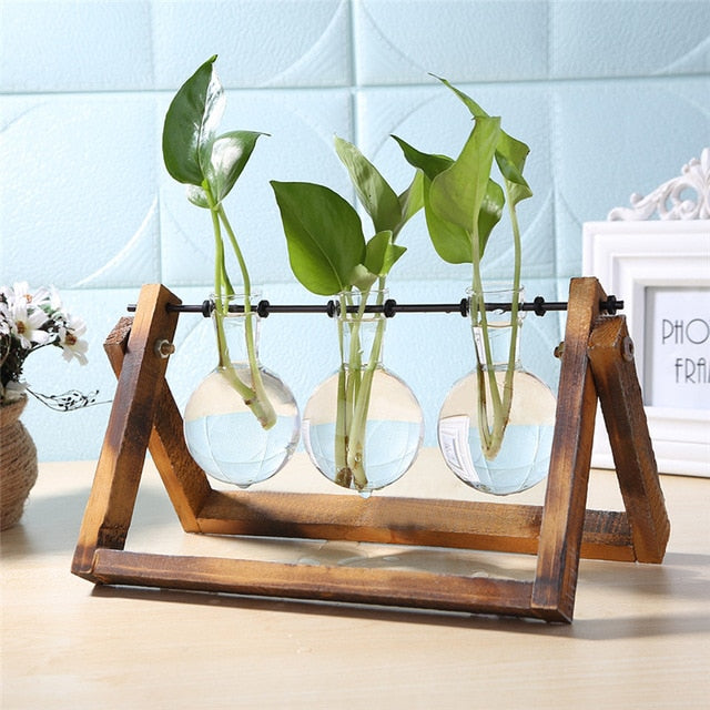 Glass and Wood Vase Planter | Table Desktop | Hydroponics | Multiple Types