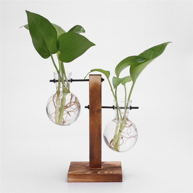 Glass and Wood Vase Planter | Table Desktop | Hydroponics | Multiple Types