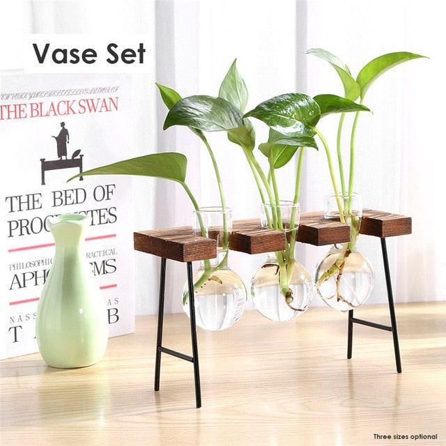 Glass and Wood Vase Planter | Table Desktop | Hydroponics | Multiple Types