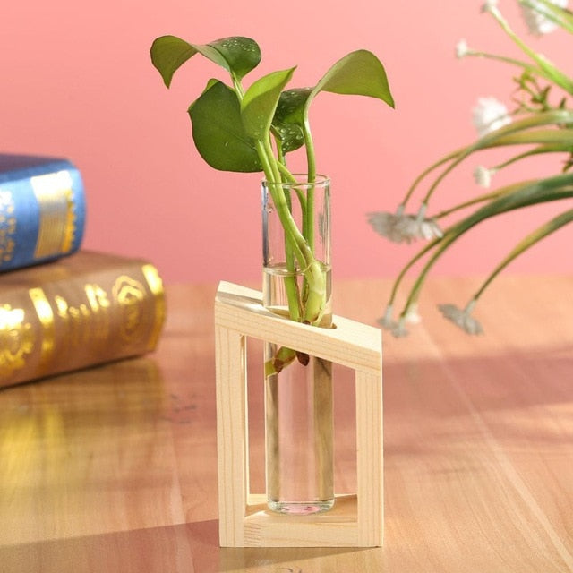 Glass and Wood Vase Planter | Table Desktop | Hydroponics | Multiple Types