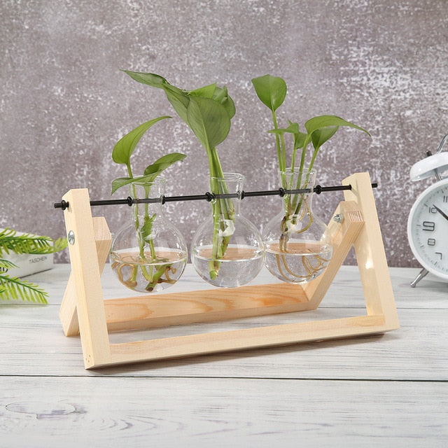 Glass and Wood Vase Planter | Table Desktop | Hydroponics | Multiple Types