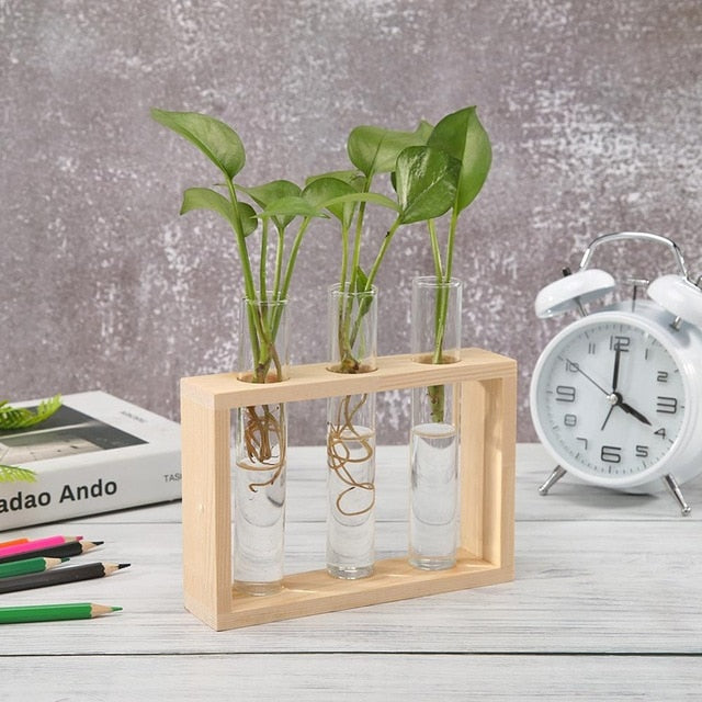 Glass and Wood Vase Planter | Table Desktop | Hydroponics | Multiple Types