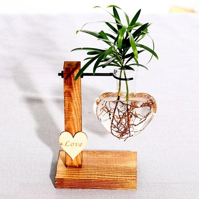 Glass and Wood Vase Planter | Table Desktop | Hydroponics | Multiple Types