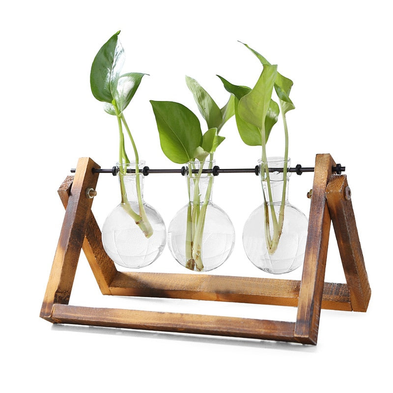 Glass and Wood Vase Planter | Table Desktop | Hydroponics | Multiple Types