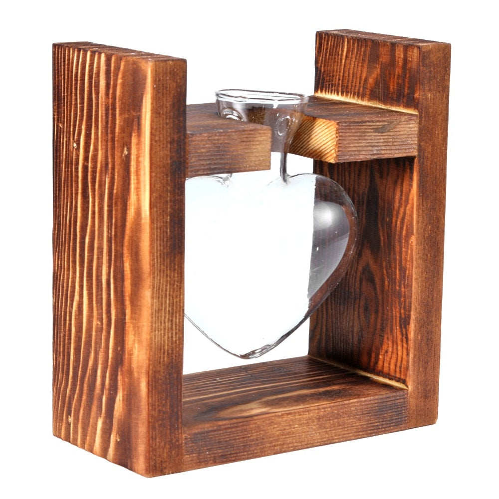 Glass and Wood Vase Planter | Table Desktop | Hydroponics | Multiple Types