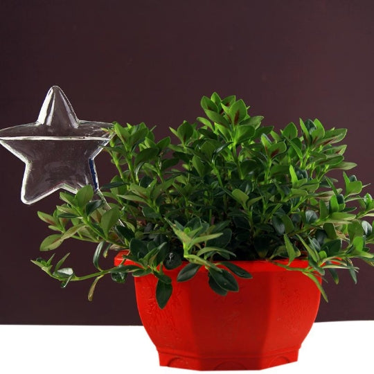 6 Types Borosilicate Glass Automatic Self Watering Devices