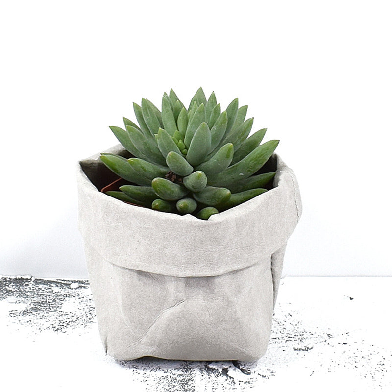 Mini Kraft Paper Storage Bags | 2 Sizes Available | 8x8x15cm/10x10x20cm