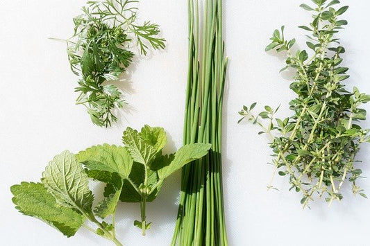 Top 10 Homegrown Herbal Remedies From Your Garden