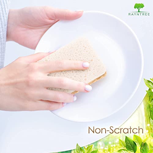 Rayntree Kitchen Sponges and Scrubbers - Natural Sponges for Dishes, Biodegradable Sponges & Cleaning Scrubber, Eco Friendly Kitchen Products, Made of Cellulose & Loofah. Kitchen Sponges Pack of 6