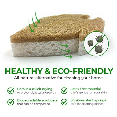 Biodegradable Natural Kitchen Sponge - Compostable Cellulose and Coconut Walnut Scrubber Sponge - Pack of 6 Eco Friendly Sponges for Dishes