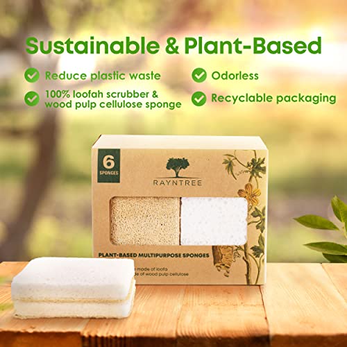 Rayntree Kitchen Sponges and Scrubbers - Natural Sponges for Dishes, Biodegradable Sponges & Cleaning Scrubber, Eco Friendly Kitchen Products, Made of Cellulose & Loofah. Kitchen Sponges Pack of 6