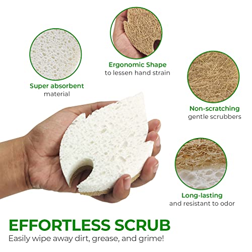 Biodegradable Natural Kitchen Sponge - Compostable Cellulose and Coconut Walnut Scrubber Sponge - Pack of 6 Eco Friendly Sponges for Dishes
