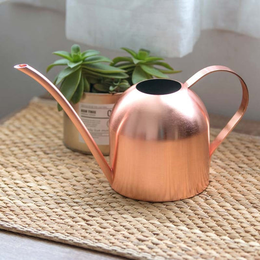 Long Mouth Stainless Steel Watering Cans |  500ML /1000ML | Rose Gold | Gold | Silver