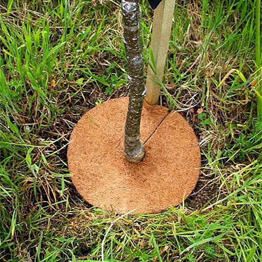 Coconut Mulch Disc Plant Cover | Coir